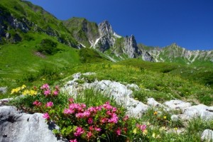 Allgäu Kreditkarte